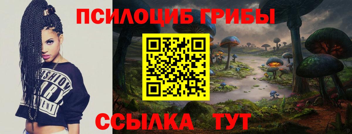 Углич  Псилоцибиновые грибы Psilocybine cubensis  Вход с VPN 